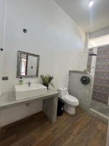 El Paredón Buena VistaMAYAN SURF HOTEL的一间带水槽、卫生间和镜子的浴室