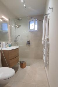萨尔泰纳Charmant appartement en Rez de jardin的带淋浴、盥洗盆和卫生间的浴室