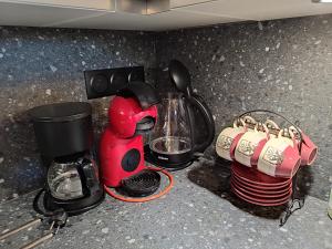 莫里永Le Gypaète的厨房柜台配有咖啡壶和搅拌机