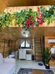 哈塔伊Karaağaç Bungalov & Tiny House的带一张床的房间和厨房