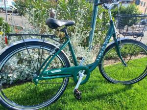 卡瓦利诺B&B A Casa di Marta的停在草地上的绿色自行车