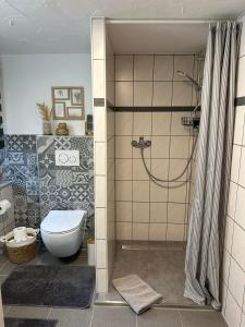PommernFerienhaus Goldstück wohnen im Weinberg的浴室配有淋浴和卫生间。