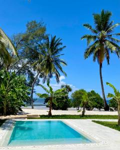 BunjuLions Zanzibar SUITE&APARTEMENT with private pool - LUXURY ON THE SEASIDE的棕榈树海滩旁的游泳池