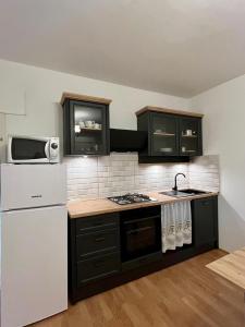 巴尔巴特纳拉布Apartmani Krunić的厨房配有黑色橱柜和白色冰箱。