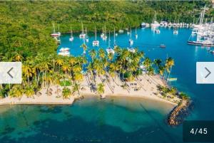 格罗斯岛East Caribbean Lodging的棕榈树和水中的船只的岛屿