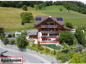 埃申Alpine Chalet with Natural Pool的享有房子的空中景色,上面设有太阳能电池板