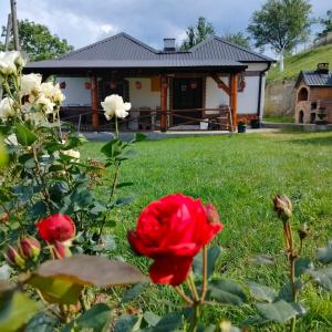 RaškaVujanac vikend kuća的房子前面草上红玫瑰