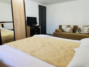 Statjunea BorsaCasa Daya的酒店客房,配有床和沙发
