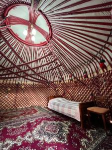 努库斯NUKUS GUEST HOUSE的蒙古包内带一张床的房间