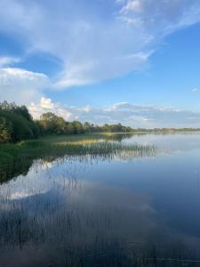 DagdaBrīvdienu māja Dinary的一大片水,有树在背后