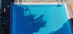 特尔斐Hotel Apollonia的游泳池里的人的影子
