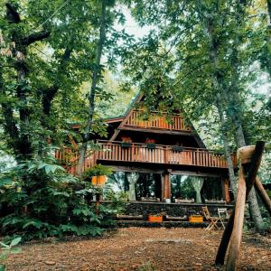 尼科洛西Matilde's Chalet Etna Nature House的树林中的小屋,带甲板