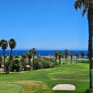 圣米格尔德阿沃纳Sunny Suite的一座棕榈树和海洋的高尔夫球场