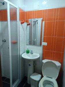 比亚维森西奥Hotel Najjez的一间带卫生间和水槽的小浴室