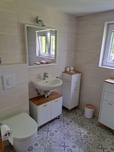 SenovoVikend hiša Vrhe的一间带水槽、卫生间和镜子的浴室