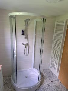 SenovoVikend hiša Vrhe的浴室里设有玻璃门淋浴