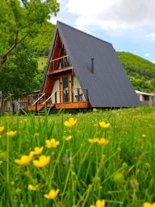 梅斯蒂亚B&B Cottage in Mestia的花田中黑色屋顶的房子