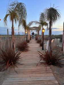 托尔雷莱Villa bord de mer的沿着棕榈树的木人行道走的人