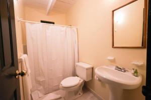 瓦斯卡坎波Hotel Hacienda San Miguel Regla的白色的浴室设有卫生间和水槽。