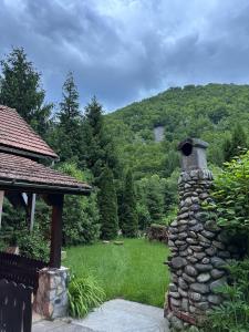PoeniCottage by the river Valea Draganului的山地庭院中的石头壁炉