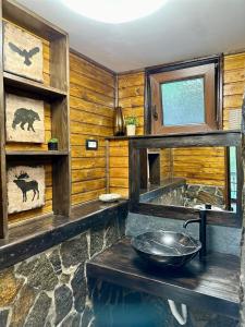 阿雷富Cabana Zimbru Transfagarasan的小木屋内带水槽的浴室