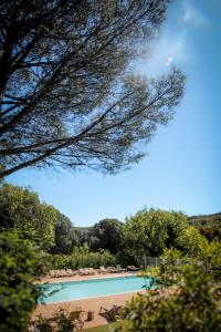 加桑Domaine de Verdagne的享有带椅子和树木的游泳池的景致