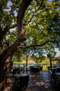 加桑Domaine de Verdagne的树下带桌椅的庭院
