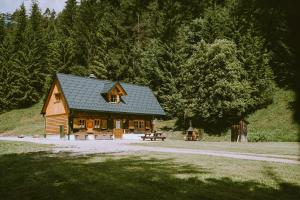 维尔达尔彭NaturparkResort s`Keuscherl的小木屋设有绿色屋顶和野餐桌