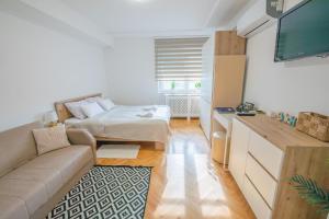 查科韦茨Apartman Lumi的客厅配有沙发和1张床