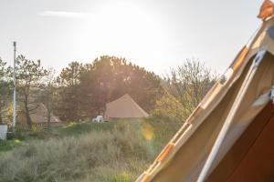 内斯Little Canvas Escape的从田野帐篷一侧的景观