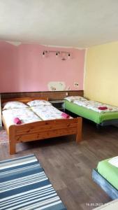 新里斯拉Lucky Kitten , High Tatras的粉红色和绿色的客房内的两张床