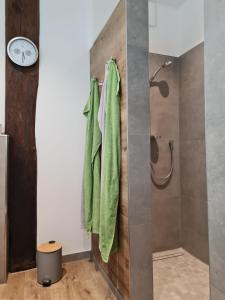 巴德茨维什安Ahrenshof 2的带淋浴和绿色毛巾的浴室
