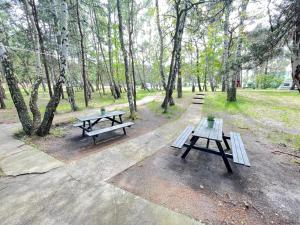 赫尔Your Camp Hel的两张野餐桌,在树木繁茂的公园里