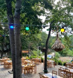 卡姆基亚Бунгала Виктория - Камчия的庭院配有桌椅和树木及灯光