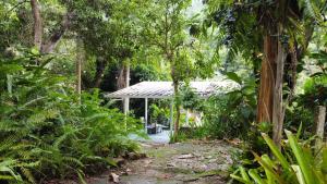 NaguaboEl Yunque Glamping River View at Casa Parcha的森林中央的白色凉亭