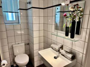 杜塞尔多夫Atemberaubender Rheinblick Messe的一间带卫生间、水槽和镜子的浴室