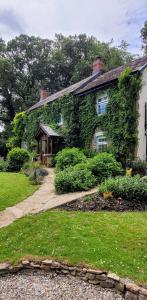 比沃辛Kingsley Cottage B & B的常春藤覆盖的房子,前面有一个花园