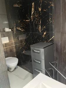 奎克博恩Guest room 1的一间带卫生间和黑色大理石墙的浴室