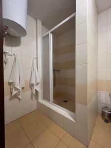 哈尔科夫Apart hotel Asotel的带淋浴的浴室和玻璃门