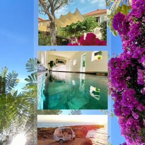 昂蒂布雅博特精品酒店的游泳池照片和鲜花相拼图