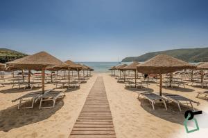 拉科纳HOTIDAY Hotel Isola D'Elba的海滩上一排草伞和椅子