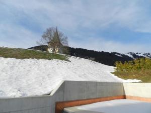 LauenenApartment Mutthorn by Interhome的雪覆盖的山丘,雪覆盖的山 ⁇ 