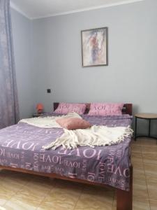 克列缅丘格Smart Apartment на Соборной 23的一间卧室配有一张带紫色床单和粉色枕头的床。
