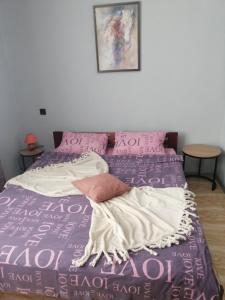 克列缅丘格Smart Apartment на Соборной 23的一张带紫色棉被和粉红色枕头的床