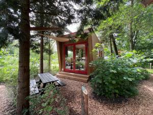 阿姆斯特丹Camping Vliegenbos的树林中的小小屋,带长凳