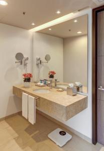比亚维森西奥埃斯特拉比亚维森西奥及会议中心酒店的一间带水槽和大镜子的浴室