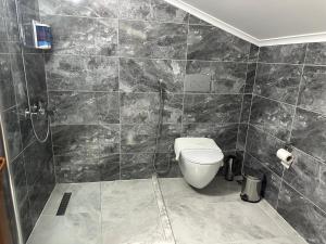 特拉布宗Pelit Park Hotel的一间带卫生间和淋浴的浴室