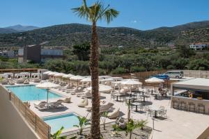 玛利亚Meramaglia Hotel的棕榈树和游泳池的度假村