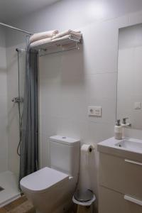 奥尔瓦伊特塞塔Hostal Rural Iratiko Urkixokoa的白色的浴室设有卫生间和水槽。