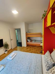 诺维萨德Ana Apartment的客房配有1张床和1张双层床。